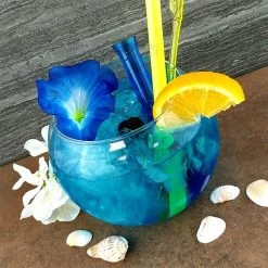 Brand new 🛒 Bars BarConic® 48 Oz Tropical Fish Bowl Glass ❤️ -BARS Sales Store fishbow 48oz glass bpc 5 800x